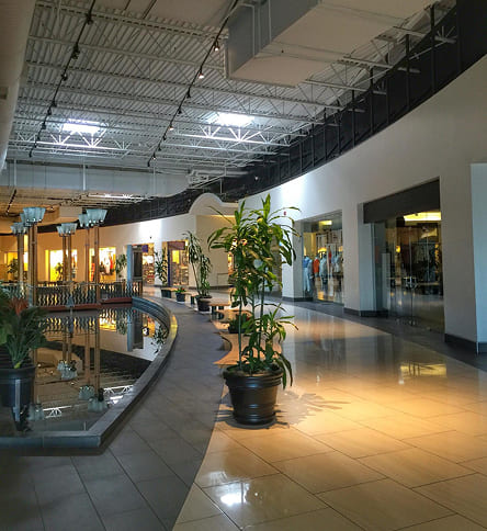 Portfolio Image